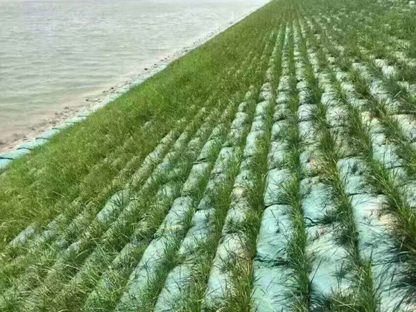 常州市東方鍋爐壓力容器制造有限公司