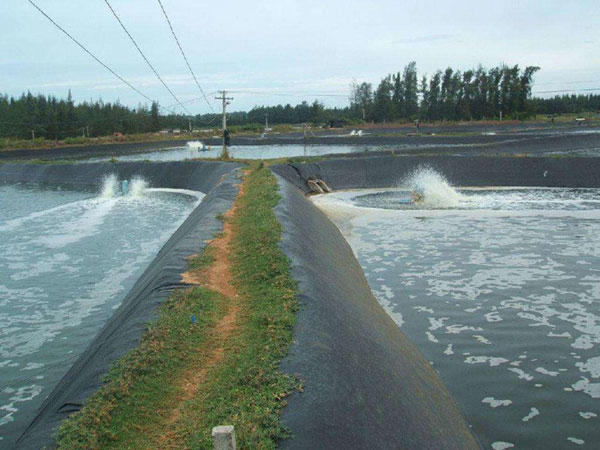 南京辭意科技發展有限公司