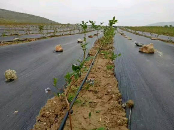 江蘇荷美智能農牧設備有限公司